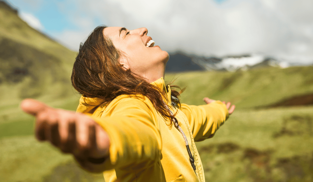 The Art Of Alignment